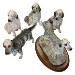 Border Fine Arts - four English Setters