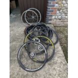 Assorted spare road bike wheels and tyres