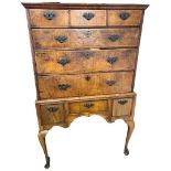 Burr Walnut Chest on Stand.