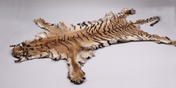 Tigerfell. Ca. 1960. Präparat eines Tigers. L: ca. 275 cm. Kein CITES Dokument - kein Versan