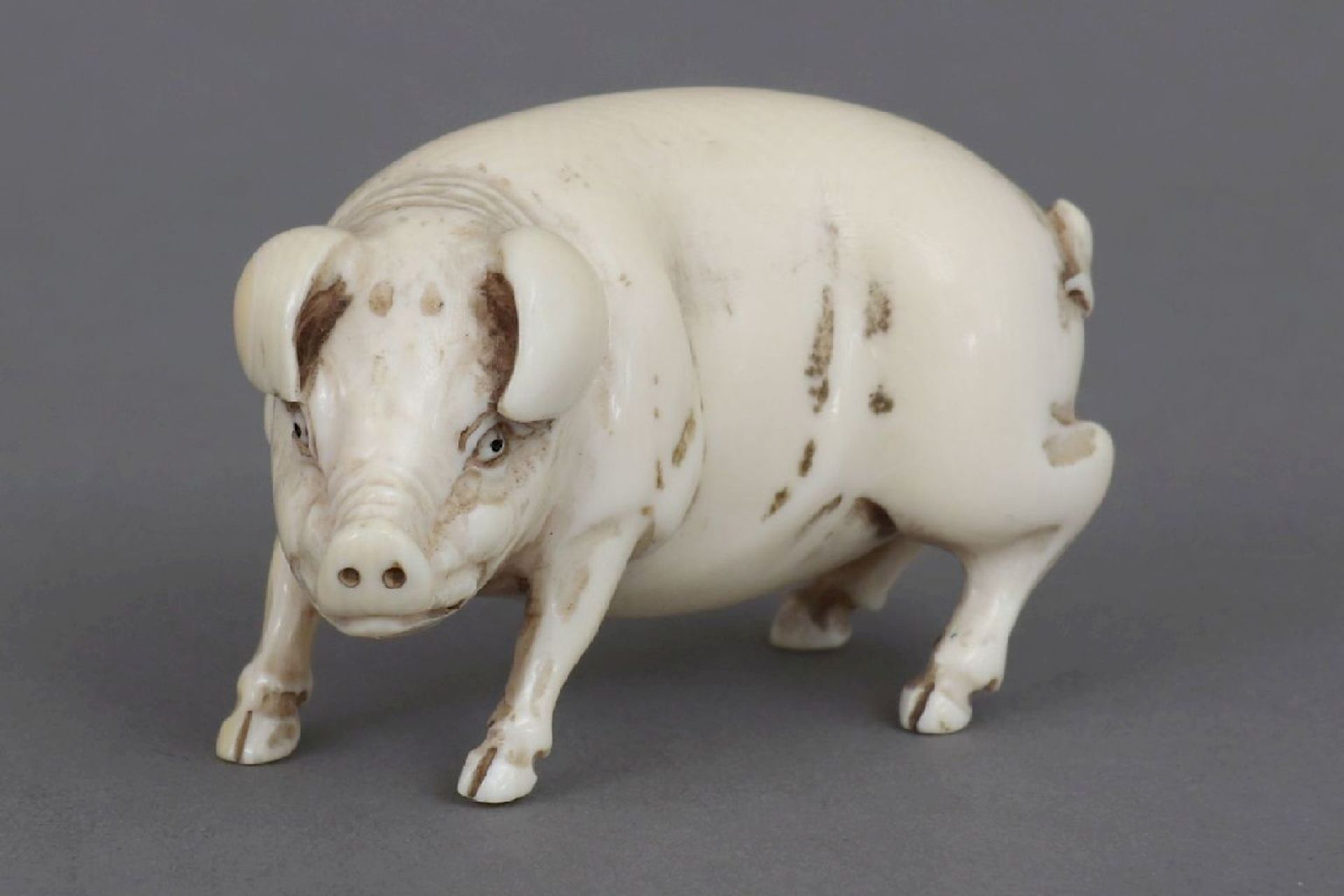 Japanische Netsuke ¨Schwein¨ - Image 3 of 5