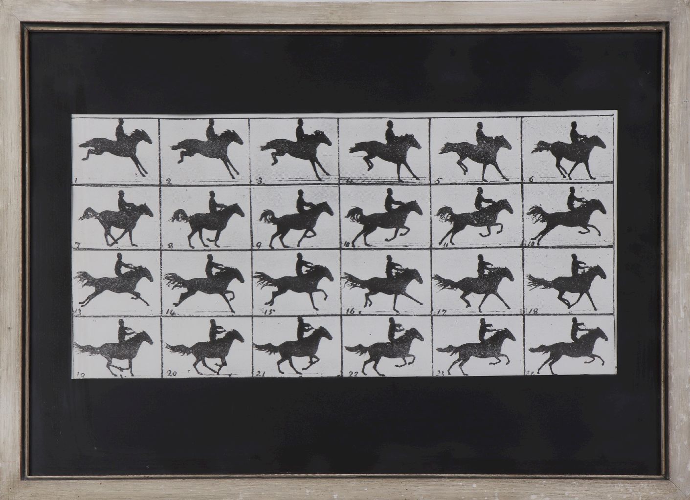 EADWARD MUYBRIDGE (1830 Kingston - 1904 ebenda)