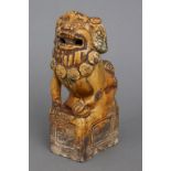 Chinesische Fu-Hund Figur ¨Tang¨