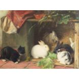 3 Hasen mit lauernder Katze