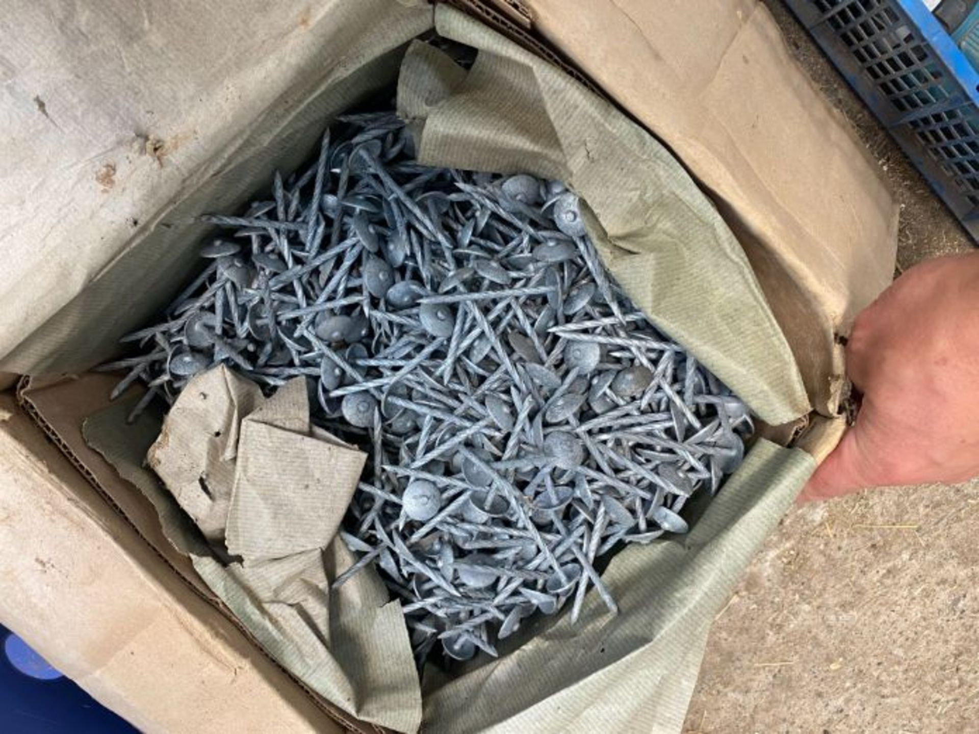 BOX ROOFING NAILS