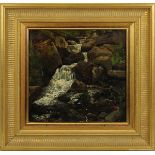 Peter Burnitz (Frankfurt a. M. 1824 - 1886 ebenda), wohl, Wasserfall, fein gemalt in Öl auf