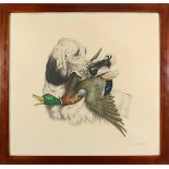 Herblet, Jean (1893 - 1985), English Setter, eine Ente apportierend, Farblithographie, re. u. in