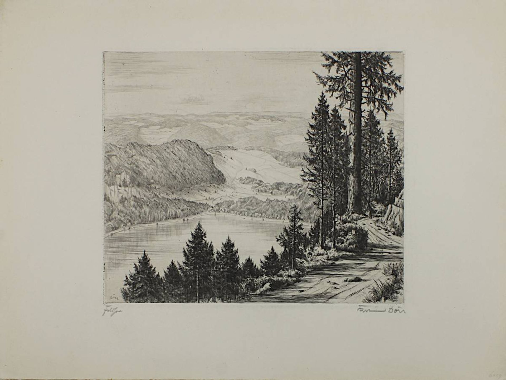 Dörr, Ferdinand (Bad Dürrheim 1880 - 1968 Karlsruhe), Sechs Radierungen mit Schwarzwaldansichten, Bl - Bild 2 aus 7