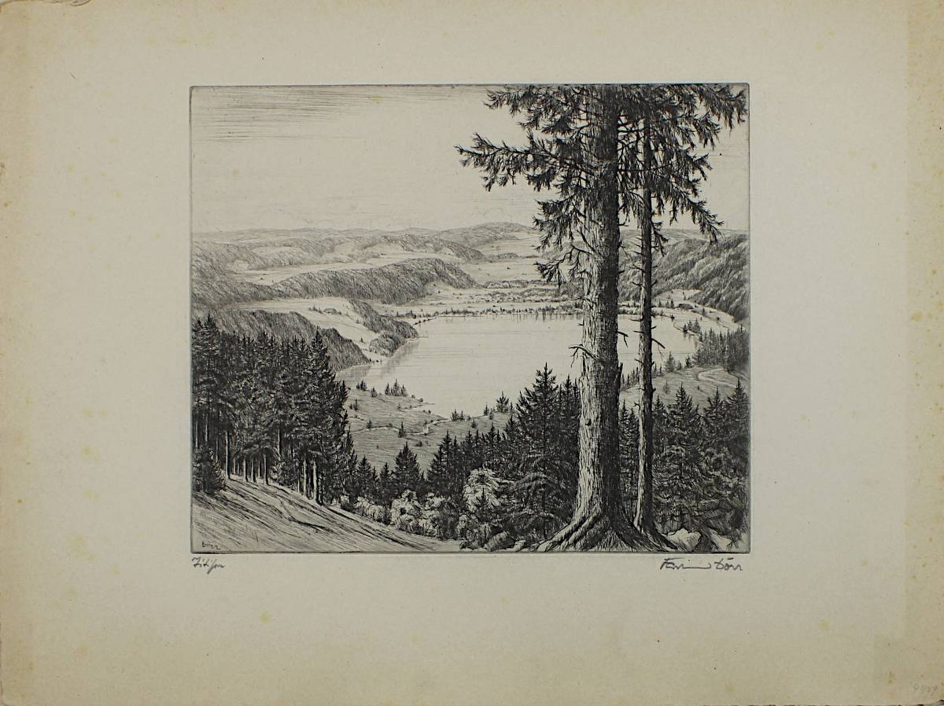 Dörr, Ferdinand (Bad Dürrheim 1880 - 1968 Karlsruhe), Sechs Radierungen mit Schwarzwaldansichten, Bl - Bild 3 aus 7