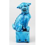 Kleiner Fo-Hund aus Porzellan, China 20. Jh., Porzellan, weißer Scherben, türkisblau glasiert,