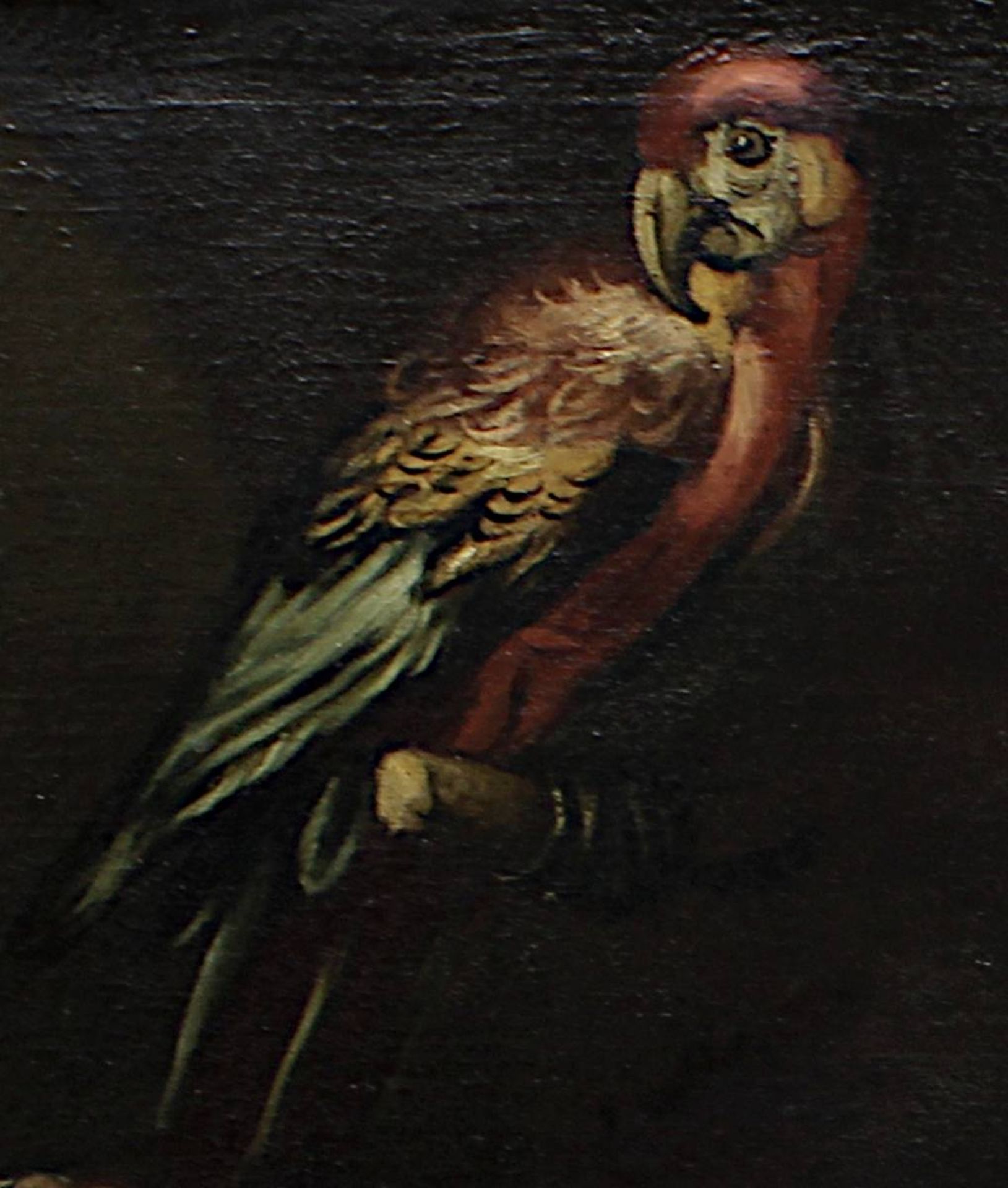 Tierstilllebenmaler in der Art des Melchior De Hondecoeter, Anfang 17. Jh., Geflügel u. Papagei - Image 3 of 6