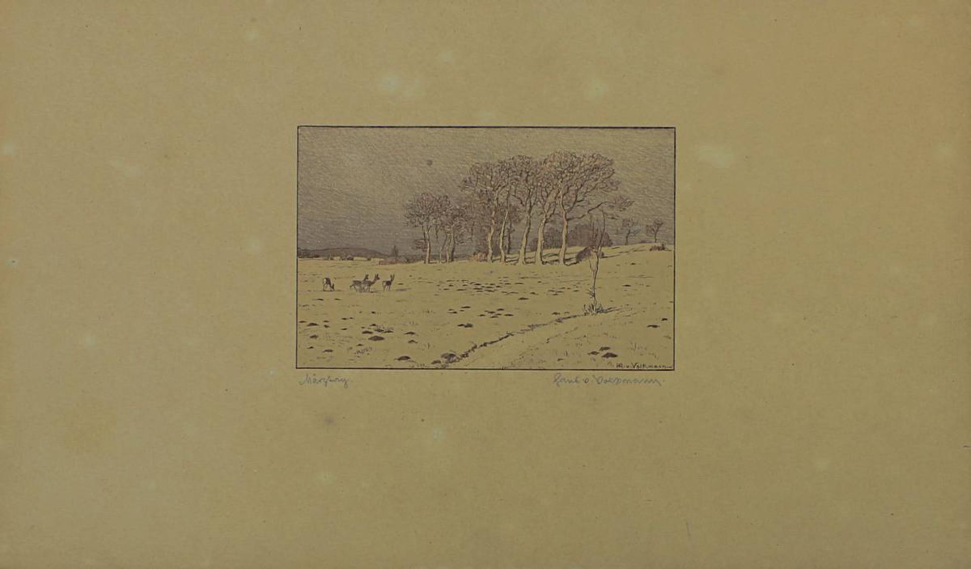 Von Volkmann, Hans (Halle/Saale 1860 - 1927 Halle/Saale), Neun Radierungen bzw. Lithographien, teils - Bild 8 aus 10