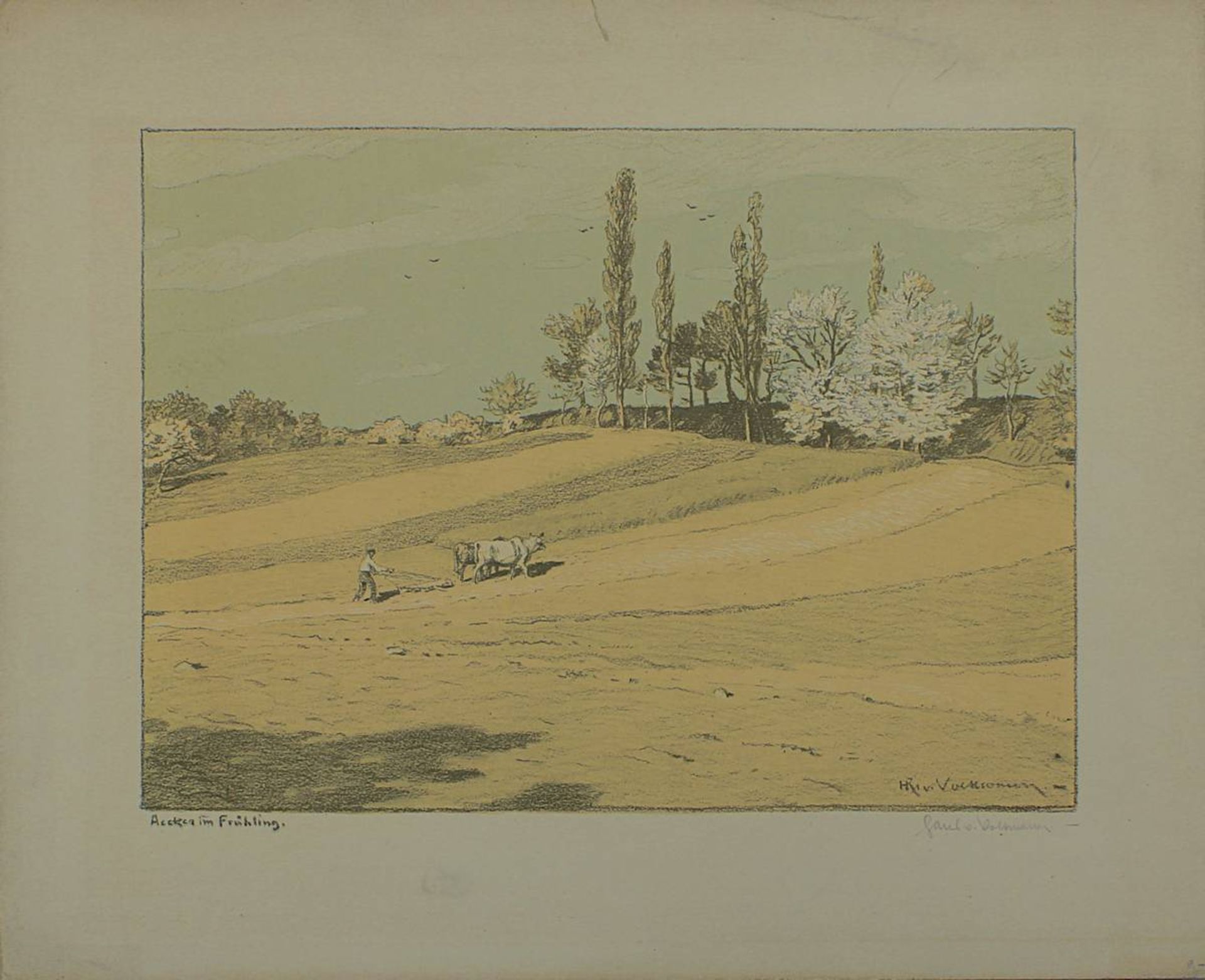 Von Volkmann, Hans (Halle/Saale 1860 - 1927 Halle/Saale), Neun Radierungen bzw. Lithographien, teils - Bild 5 aus 10