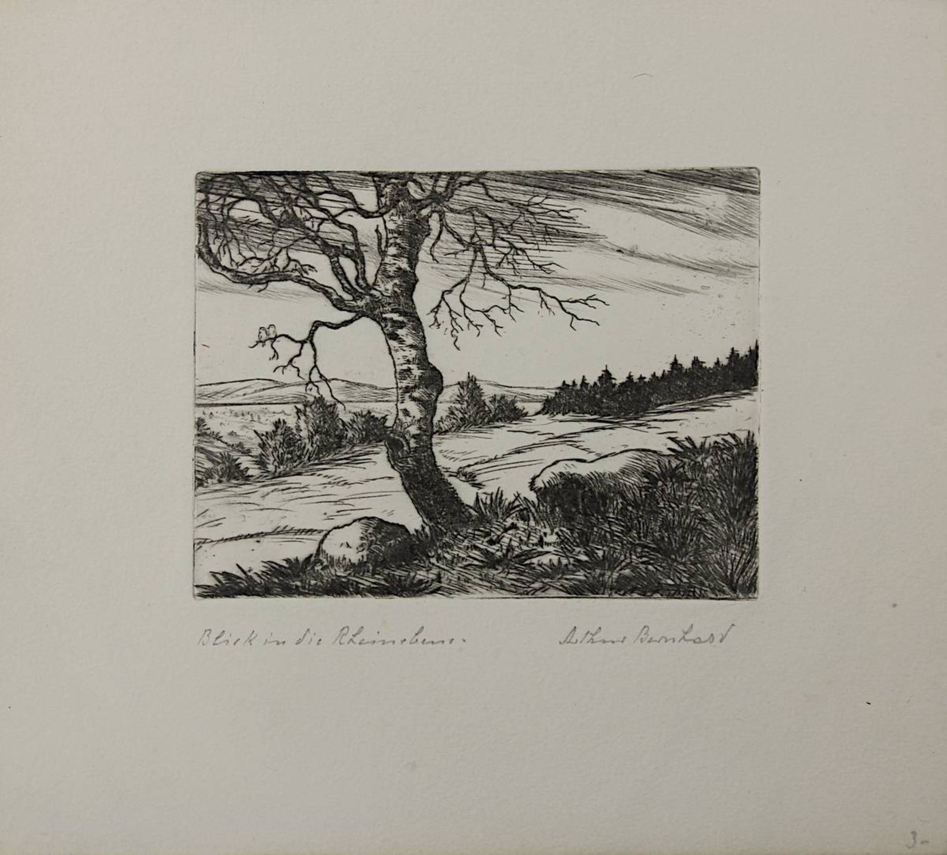 Bernhard, Arthur (Lobbach-Lobenfeld 1888 - 1956 Baden-Baden), 12 Radierungen, alle unt. der Darstell - Bild 7 aus 14