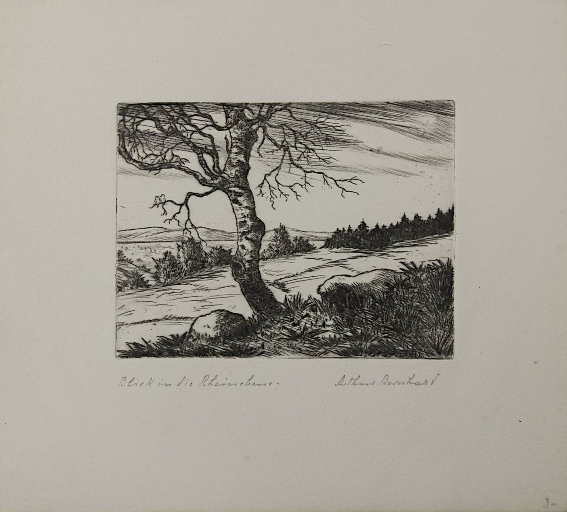 Bernhard, Arthur (Lobbach-Lobenfeld 1888 - 1956 Baden-Baden), 12 Radierungen, alle unt. der - Image 7 of 14