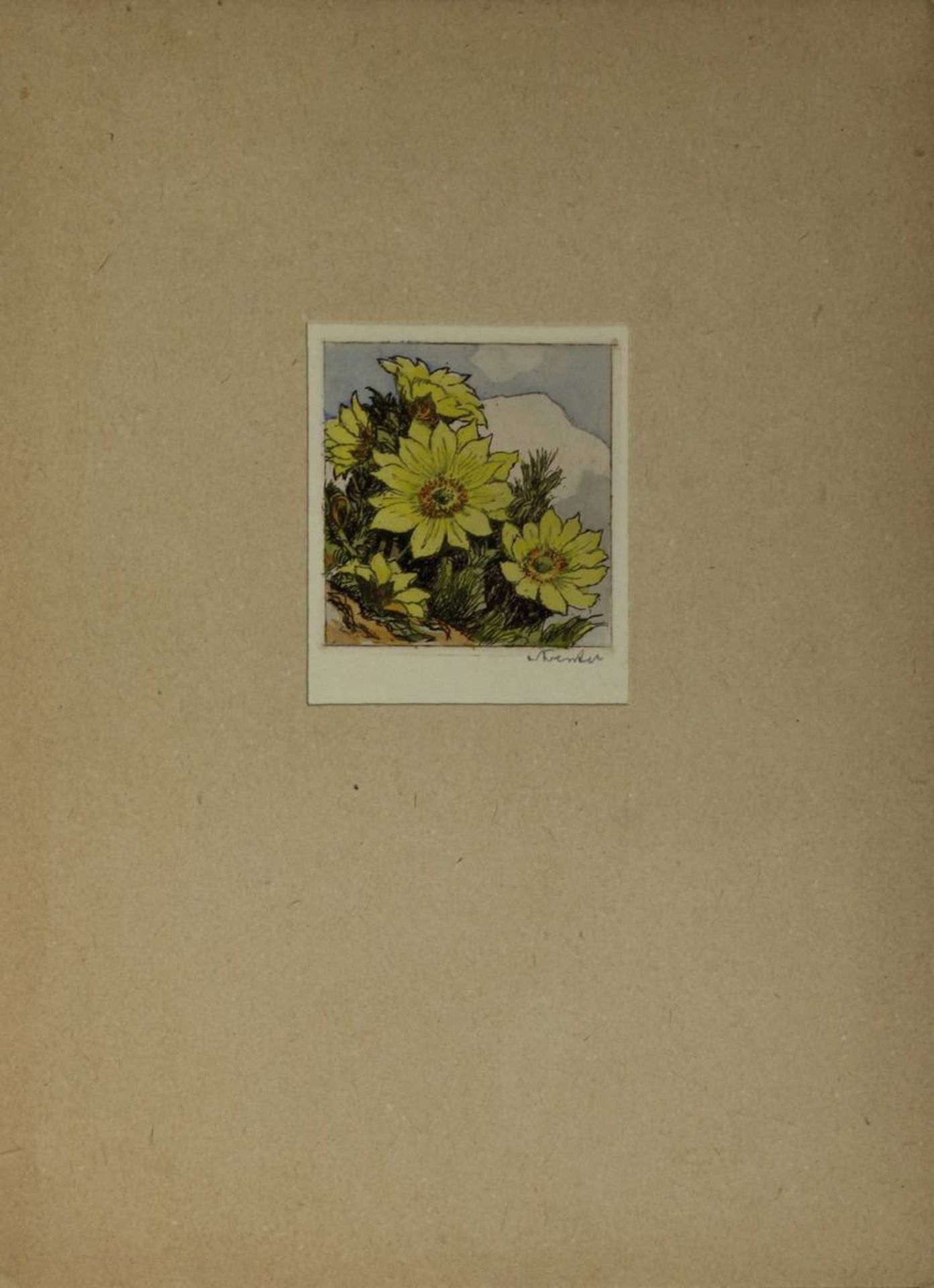 Foerster, Willi (1892 - 1965), 9 Farbradierungen: 6 Ansichten von Rothenburg ob der Tauber u. 3 Pfla - Bild 8 aus 10