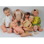 6 große Zelluloid-Puppen bzw. Fragmente, 1930-1950, vorwiegend Schildkröt, größtenteils beschädigt