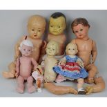 6 Zelluloid-Puppen, 1930-1950, teilweise beschädigt und zerlegt, interessant für Puppenliebhaber