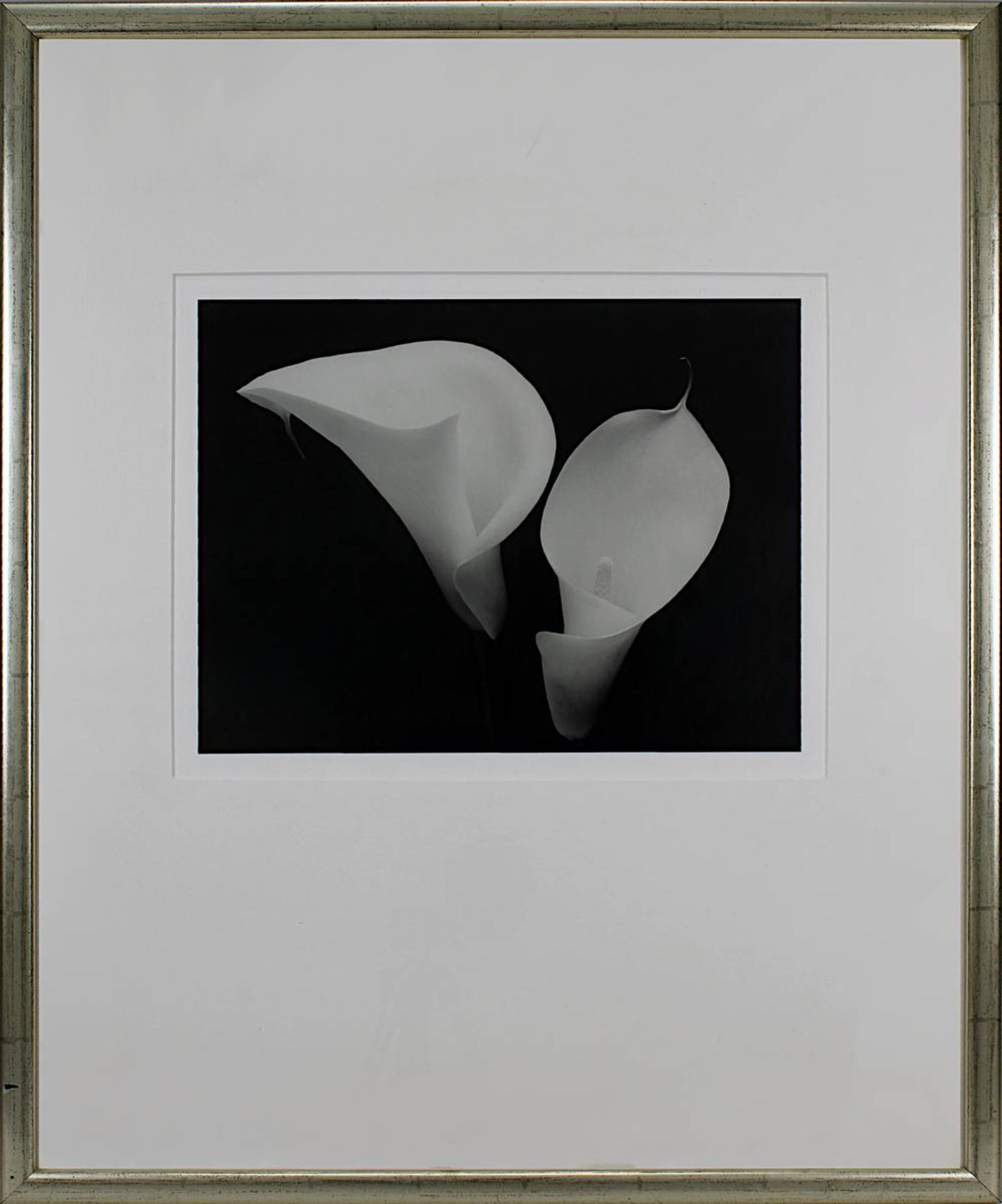 Anonymer Künstler, zwei Calla-Blüten, Grafik, 29,5 x 38 cm, Passepartout, unt. Glas ger.,