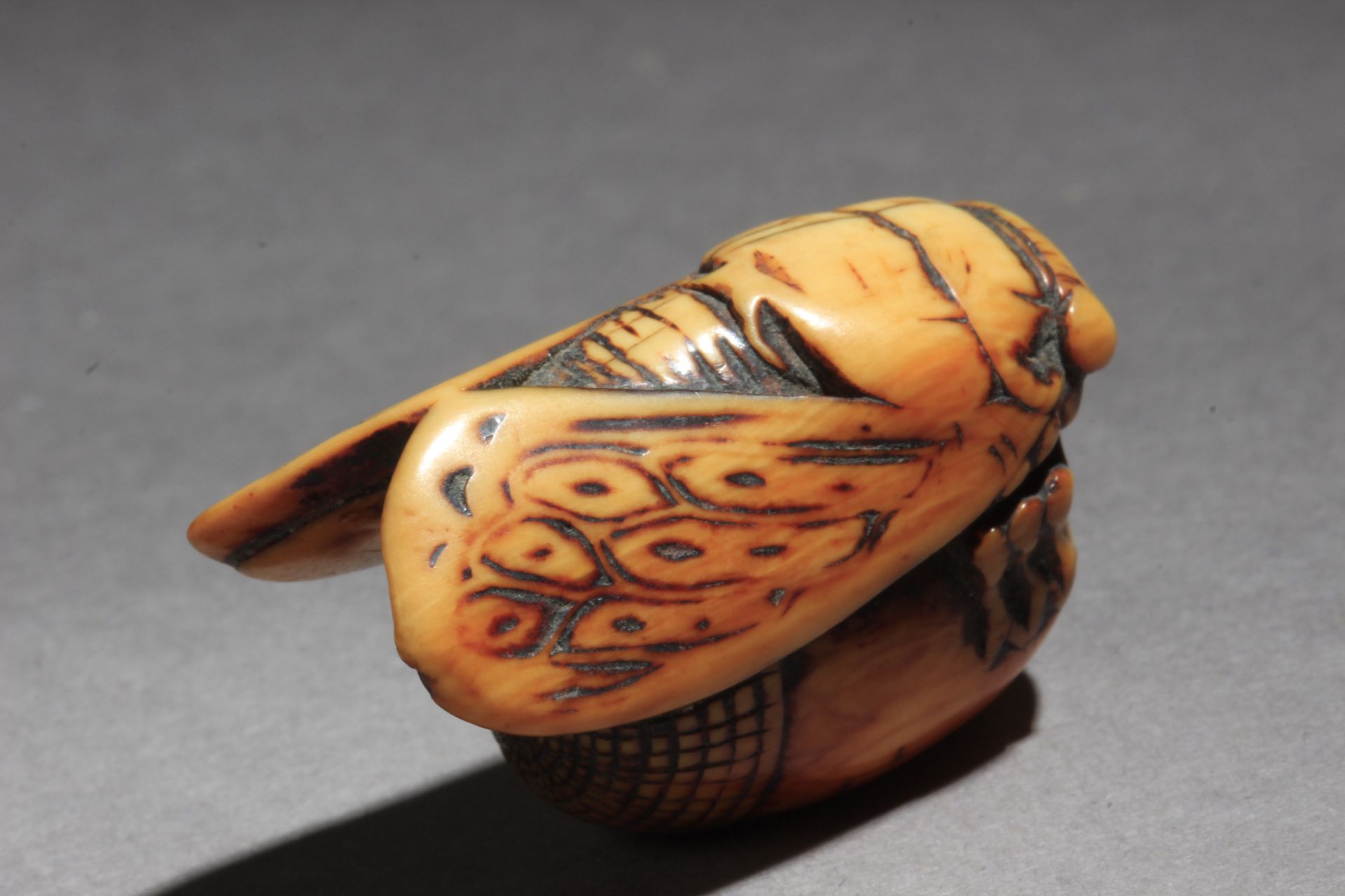 A mid 18th century Japanese netsuke from Edo period - Bild 5 aus 7