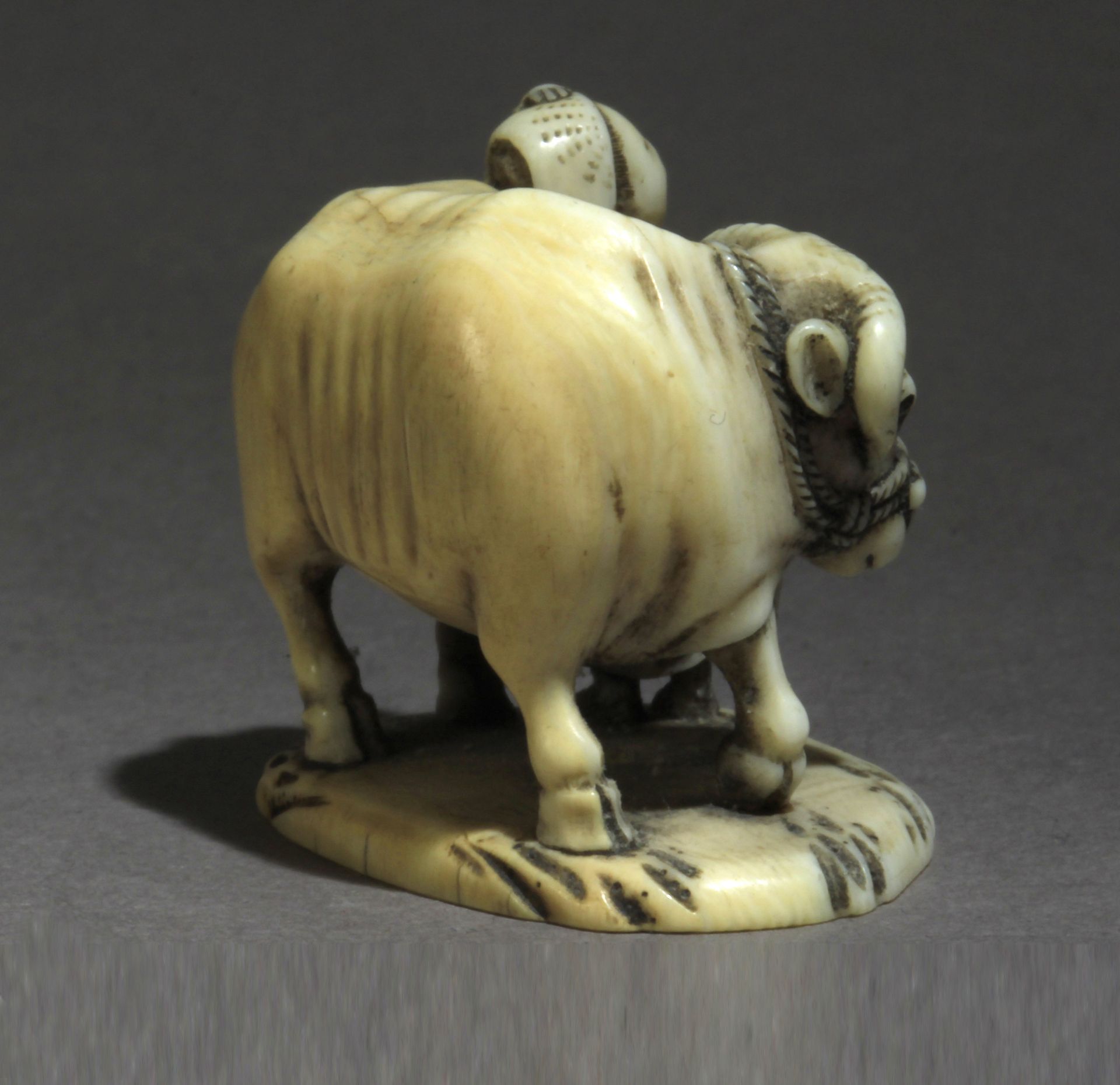 A mid 19th century Japanese netsuke from Edo period - Image 5 of 8