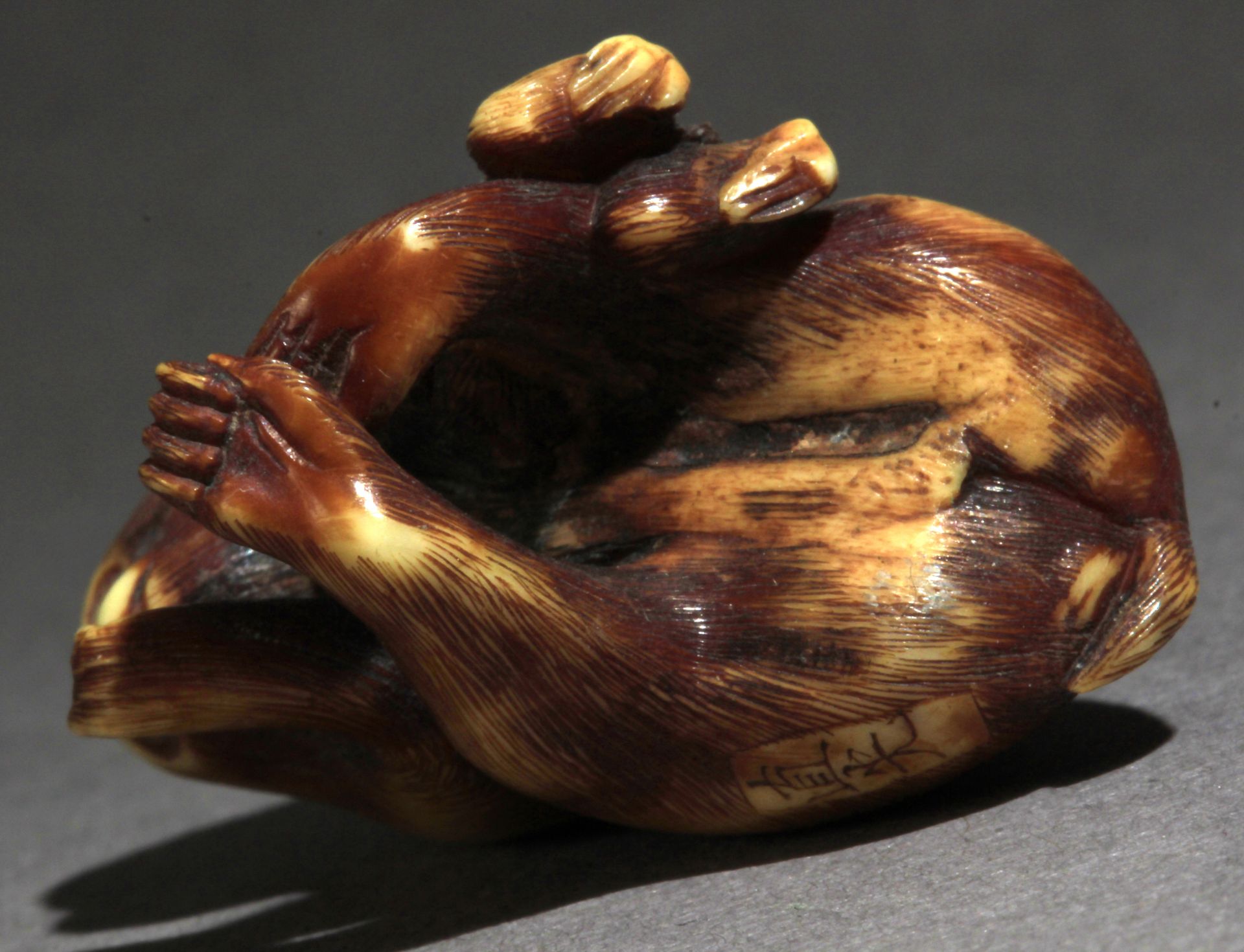 A 19th century Japanese netsuke from Meiji period - Image 7 of 7