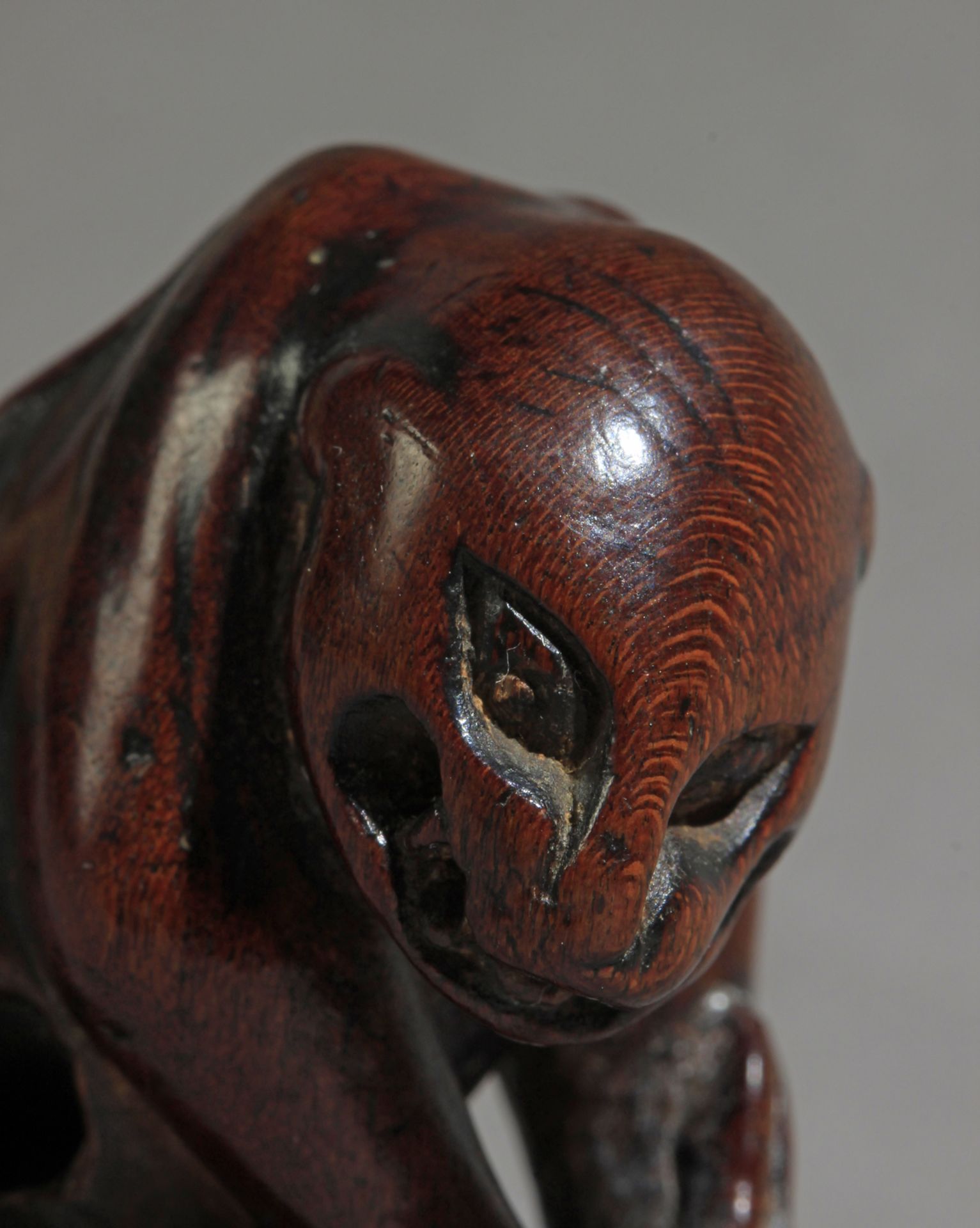 An early 19th century Japanese netsuke from Edo period - Image 5 of 7