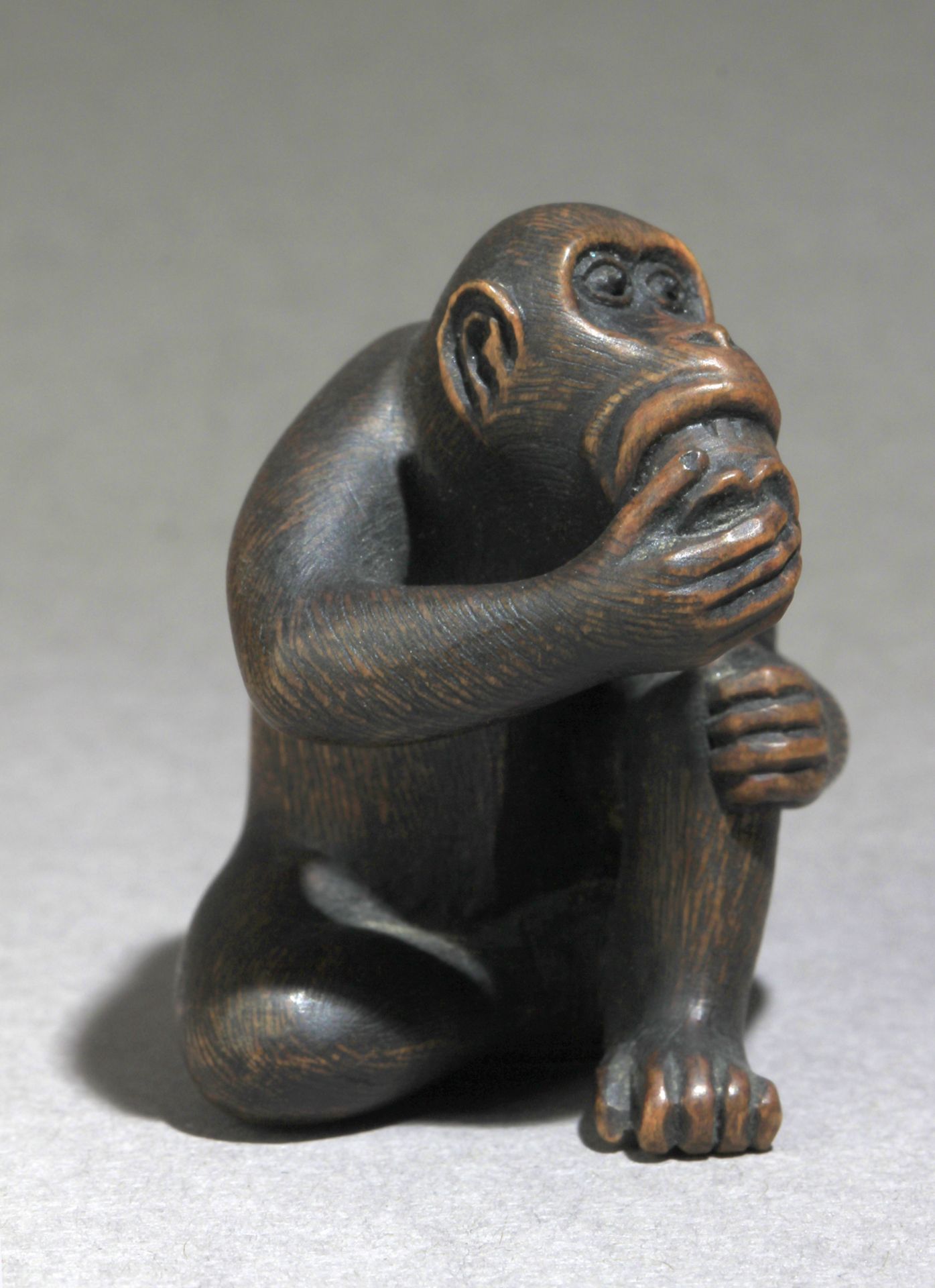 A Japanese netsuke circa 1848-1922 from Meiji period - Bild 5 aus 6