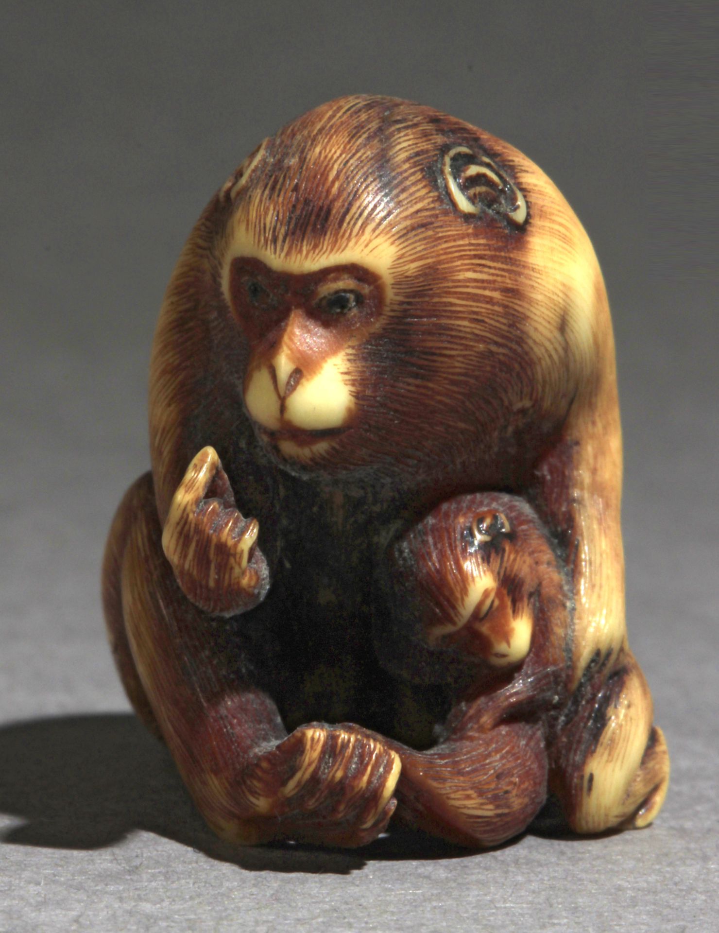 A 19th century Japanese netsuke from Meiji period - Image 2 of 7