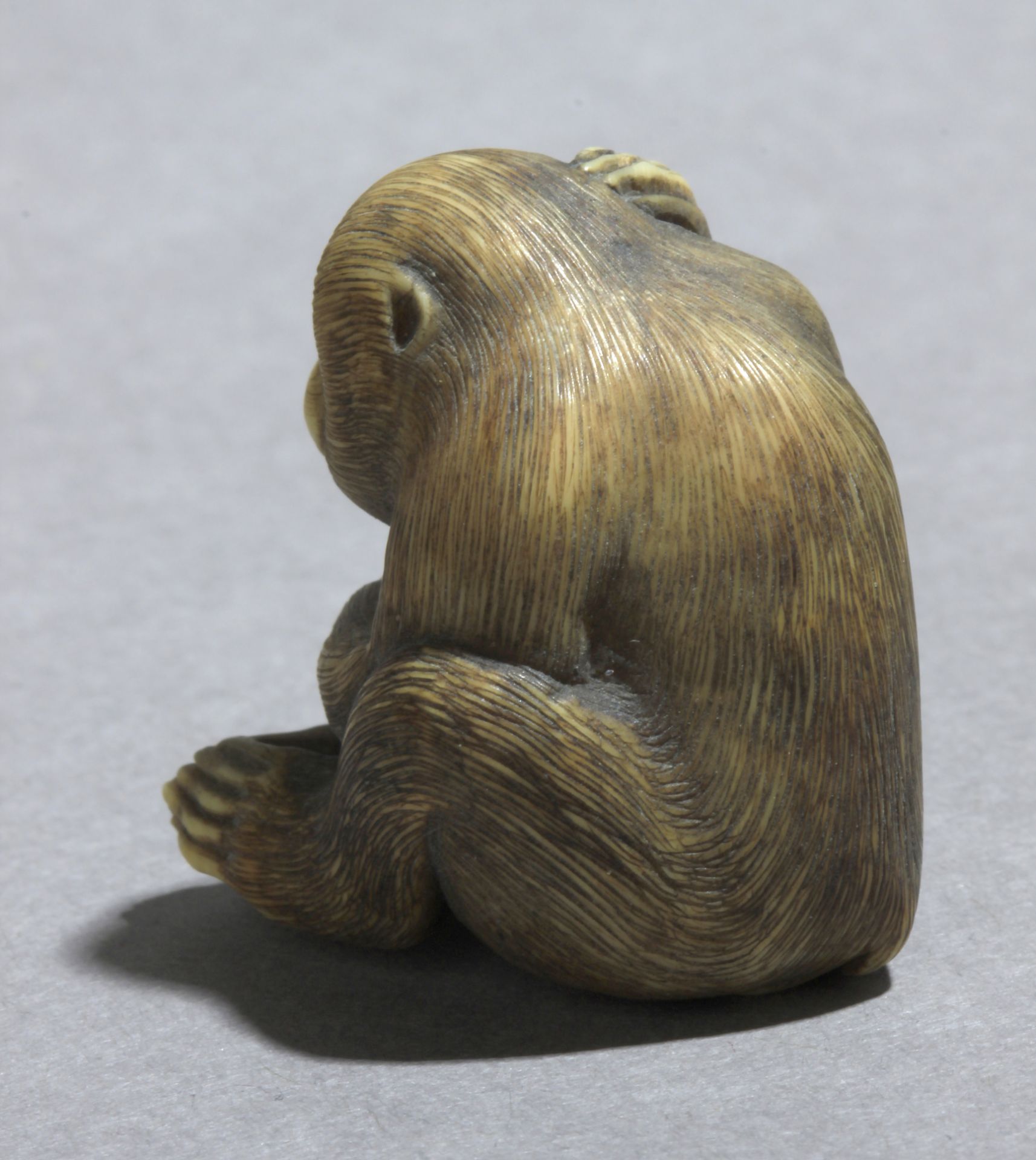 A mid 19th century Japanese netsuke from Meiji period - Image 4 of 7