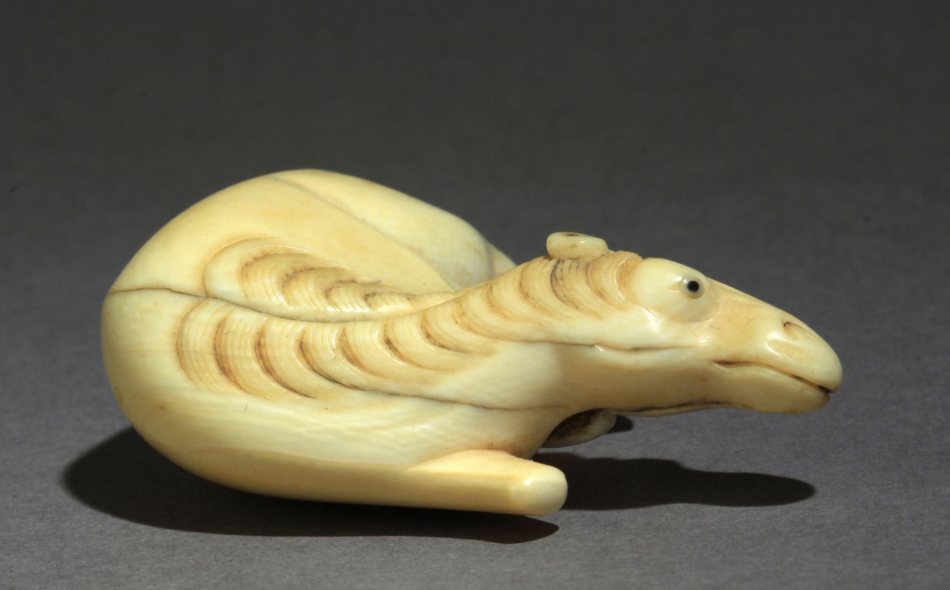 A late 18th century Japanese netsuke from Edo period - Image 5 of 8