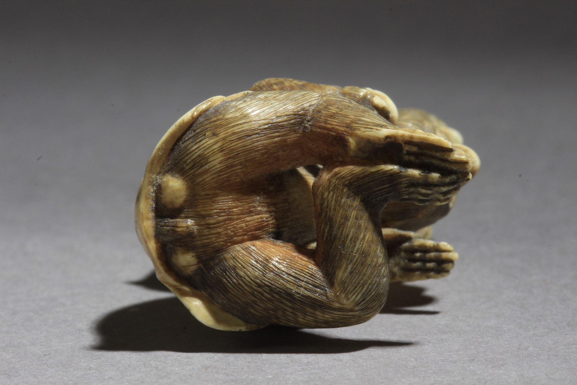 A mid 19th century Japanese netsuke - Image 11 of 11