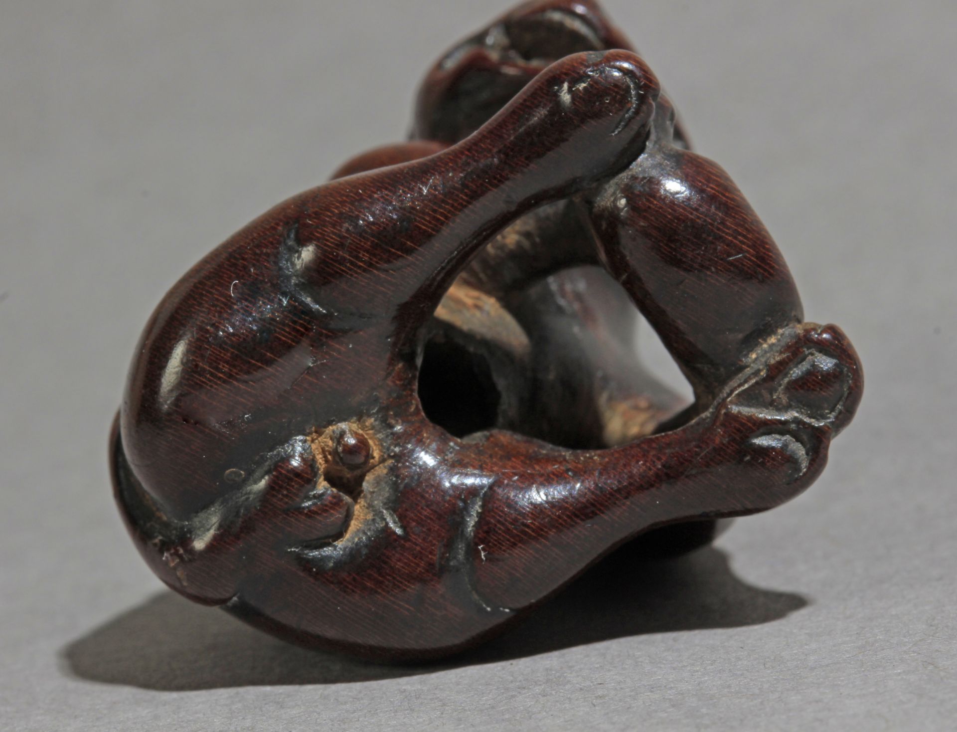 An early 19th century Japanese netsuke from Edo period - Bild 6 aus 7