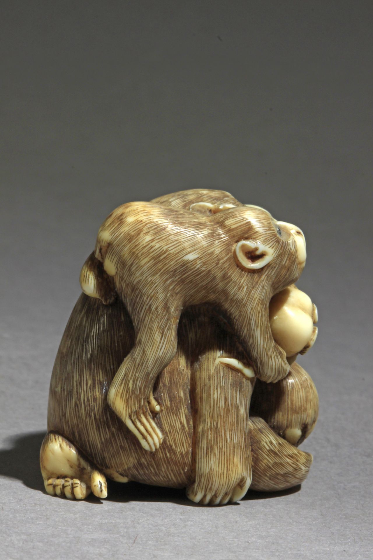 A 19th century Japanese netsuke from Meiji period - Image 4 of 7