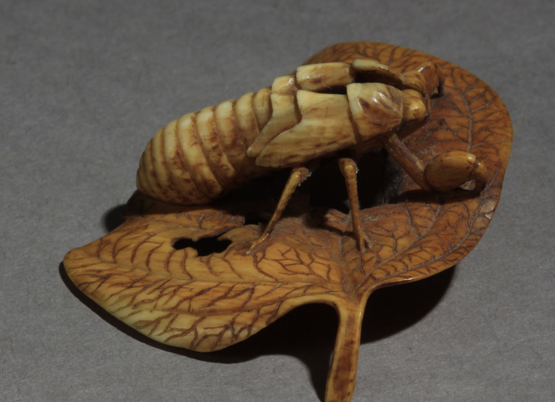 A 19th century Japanese netsuke from Meiji period