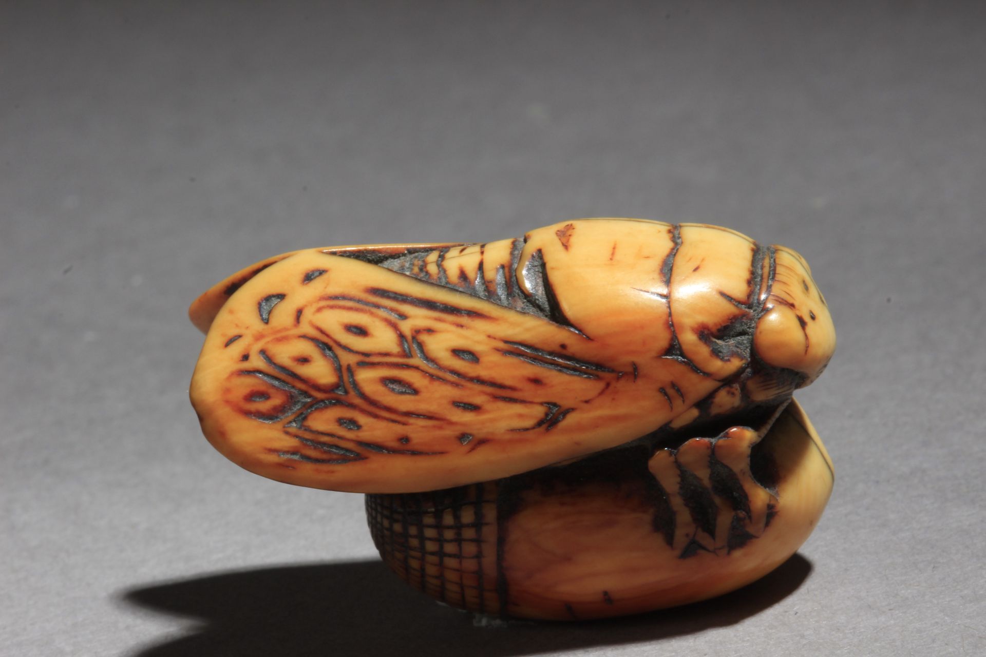 A mid 18th century Japanese netsuke from Edo period - Bild 4 aus 7