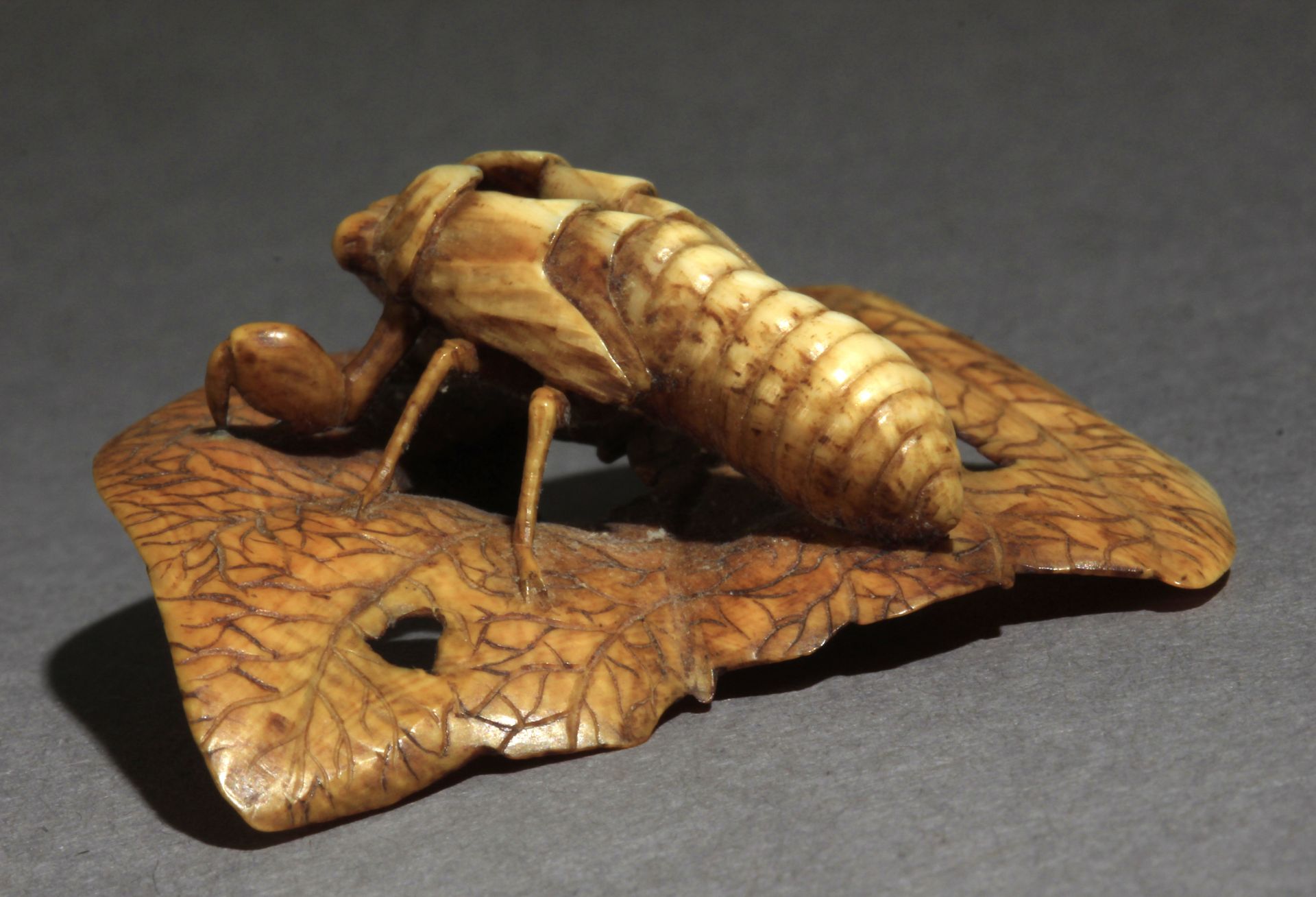 A 19th century Japanese netsuke from Meiji period - Image 4 of 9