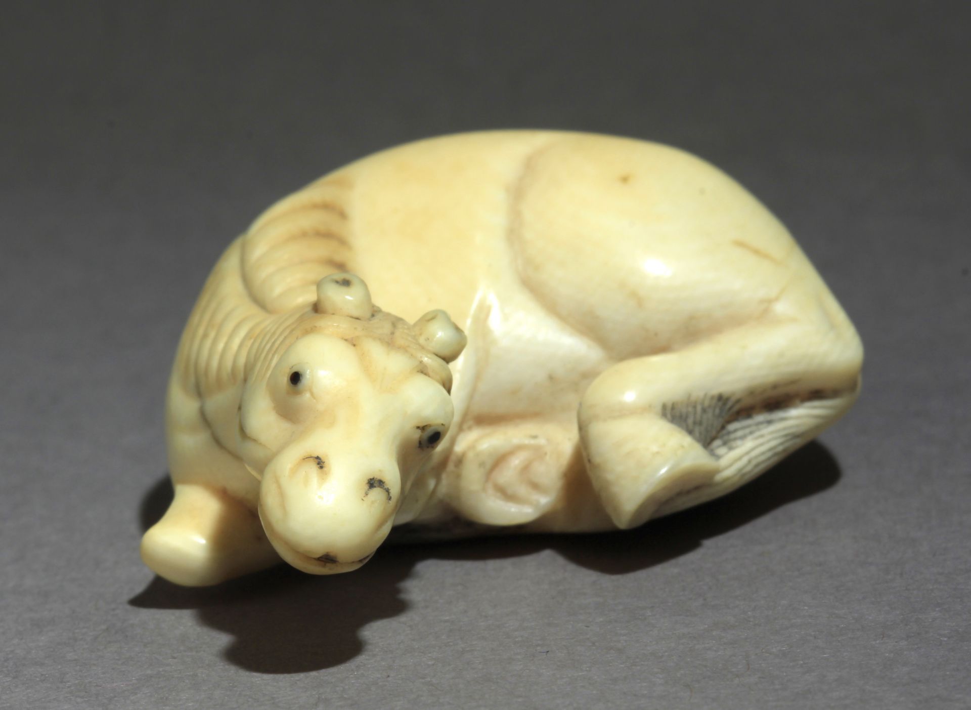 A late 18th century Japanese netsuke from Edo period - Image 6 of 8