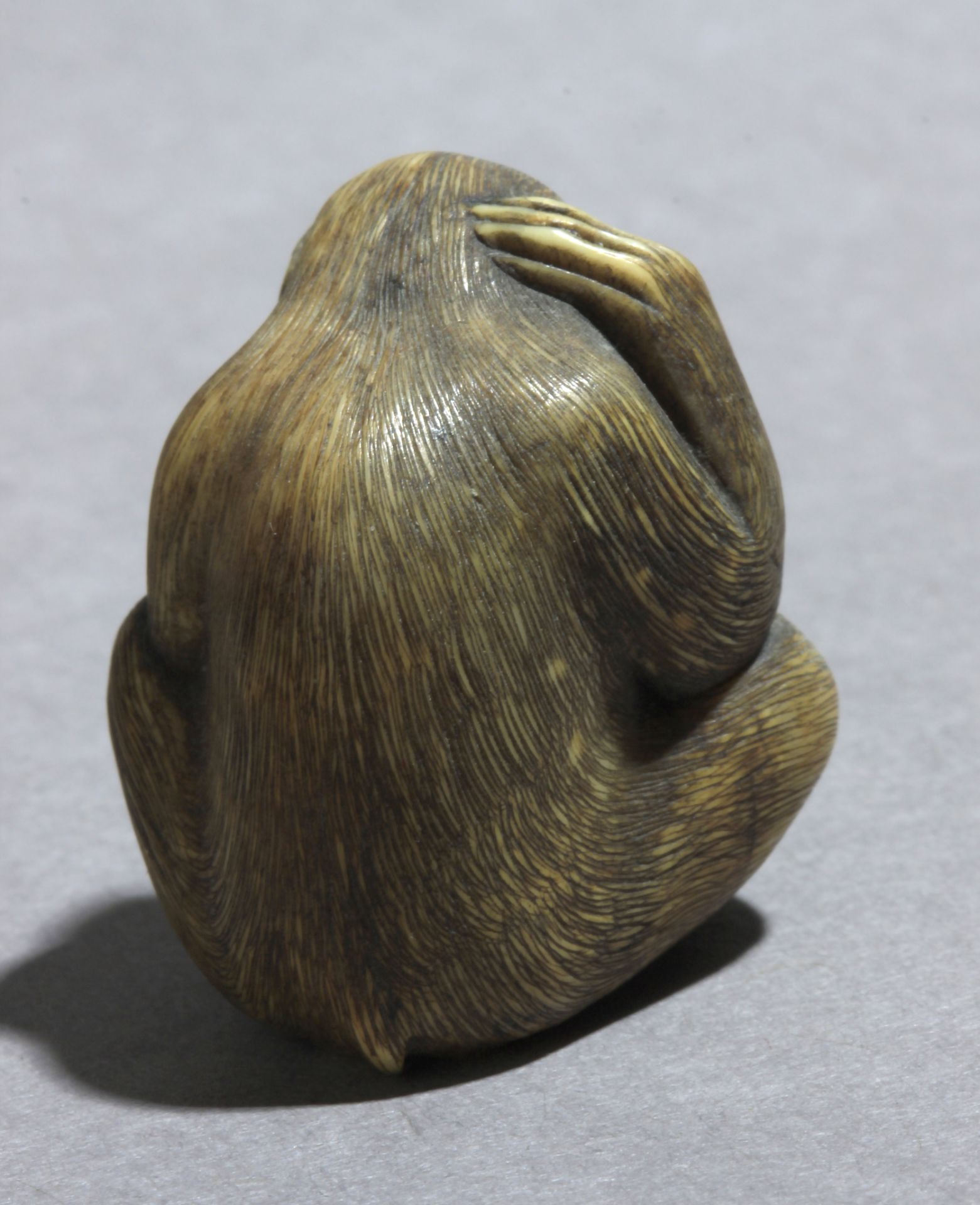 A mid 19th century Japanese netsuke from Meiji period - Image 5 of 7