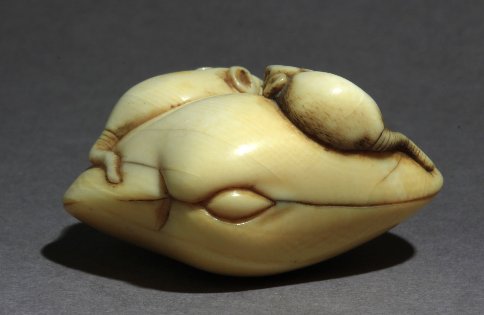 A late 18th century Japanese netsuke from Edo period - Image 4 of 5