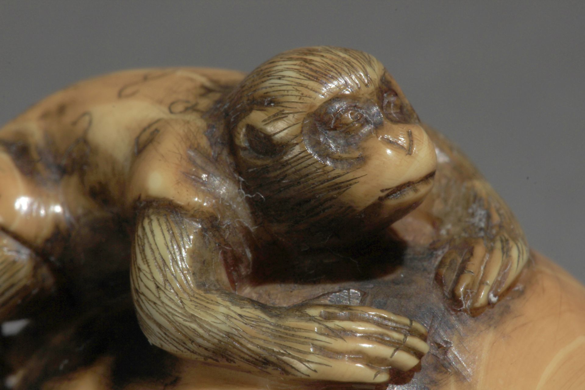 A mid 19th century Japanese netsuke from Edo period - Bild 5 aus 7