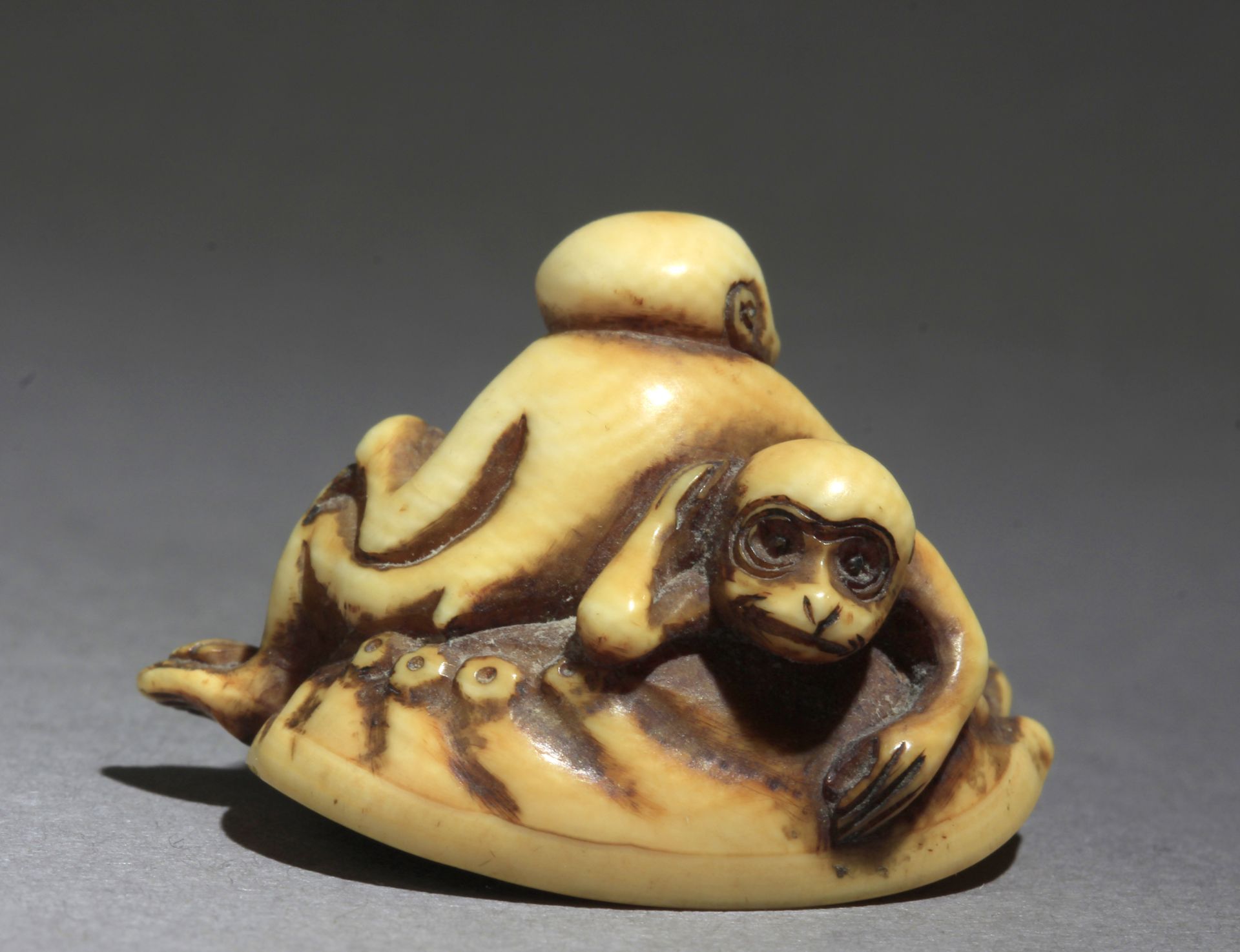 A 19th century Japanese netsuke from Meiji period - Image 4 of 7