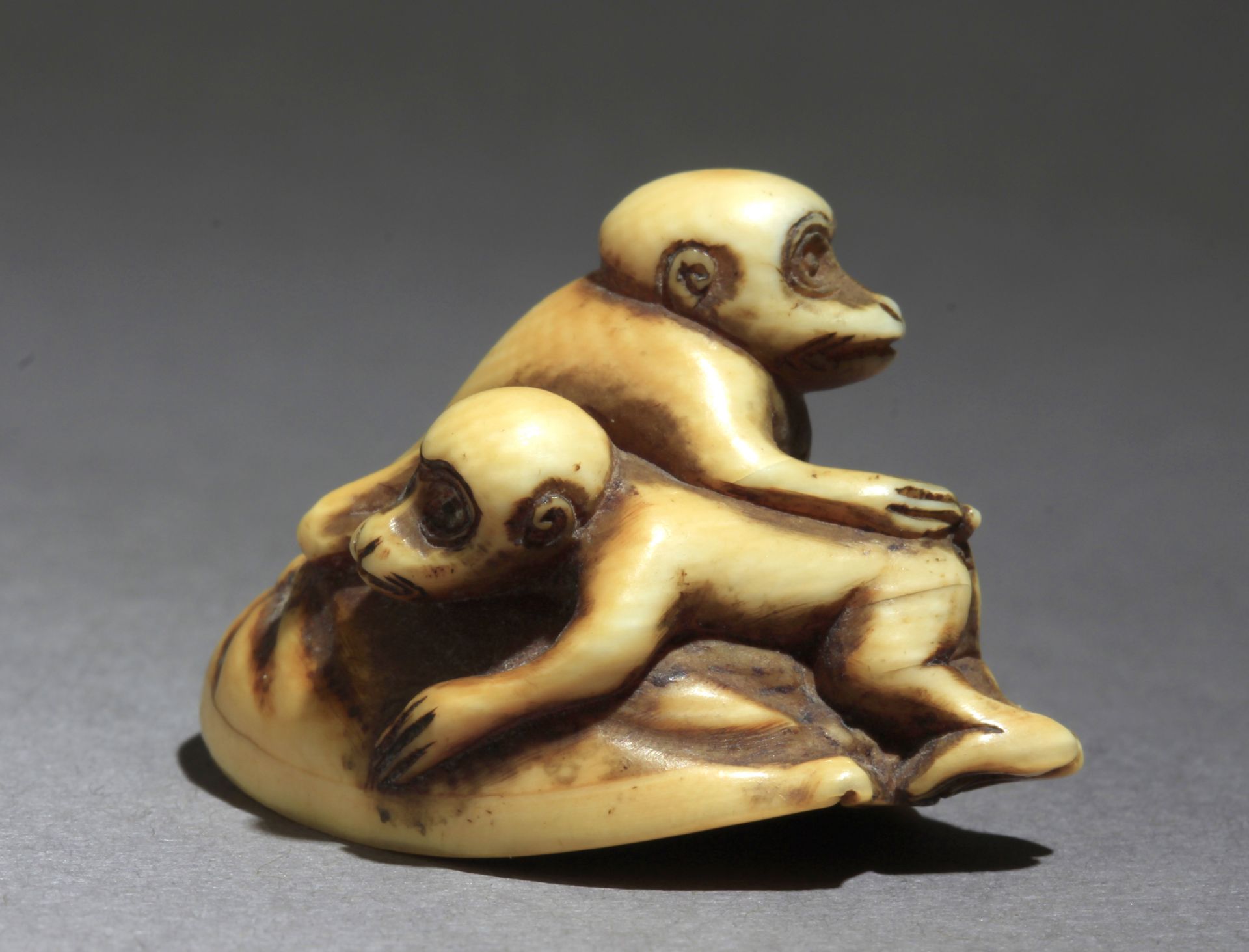 A 19th century Japanese netsuke from Meiji period - Image 5 of 7