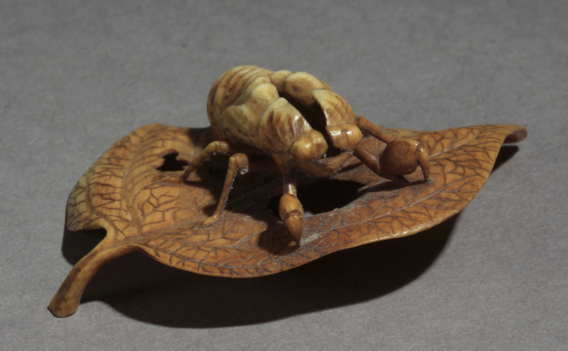 A 19th century Japanese netsuke from Meiji period - Image 2 of 9