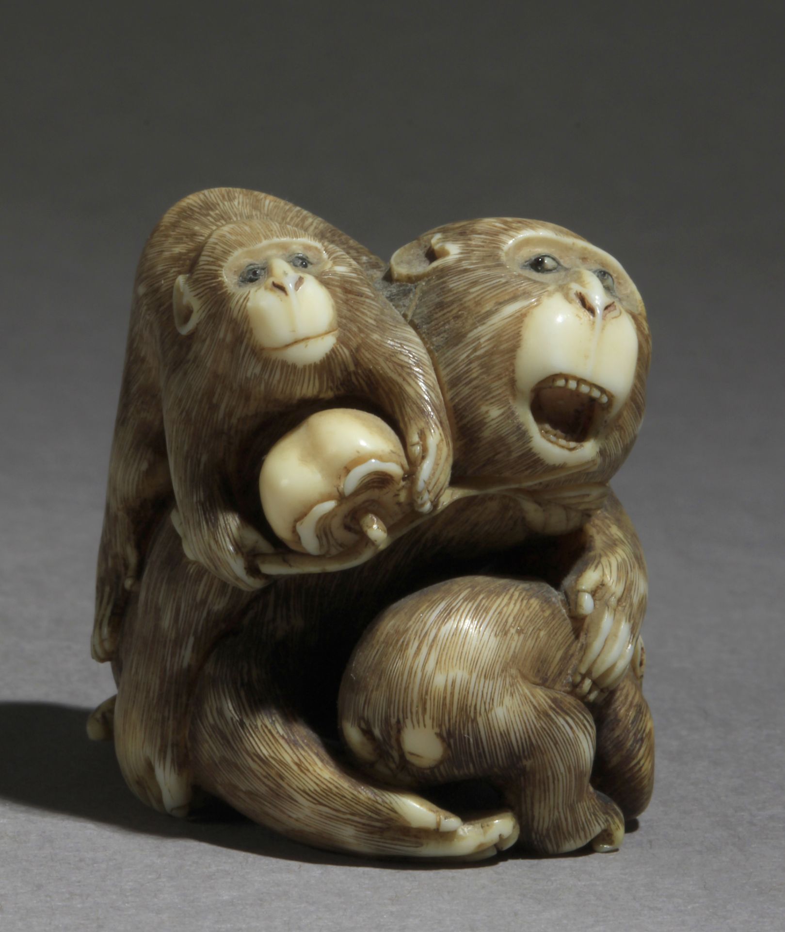 A 19th century Japanese netsuke from Meiji period - Image 5 of 7