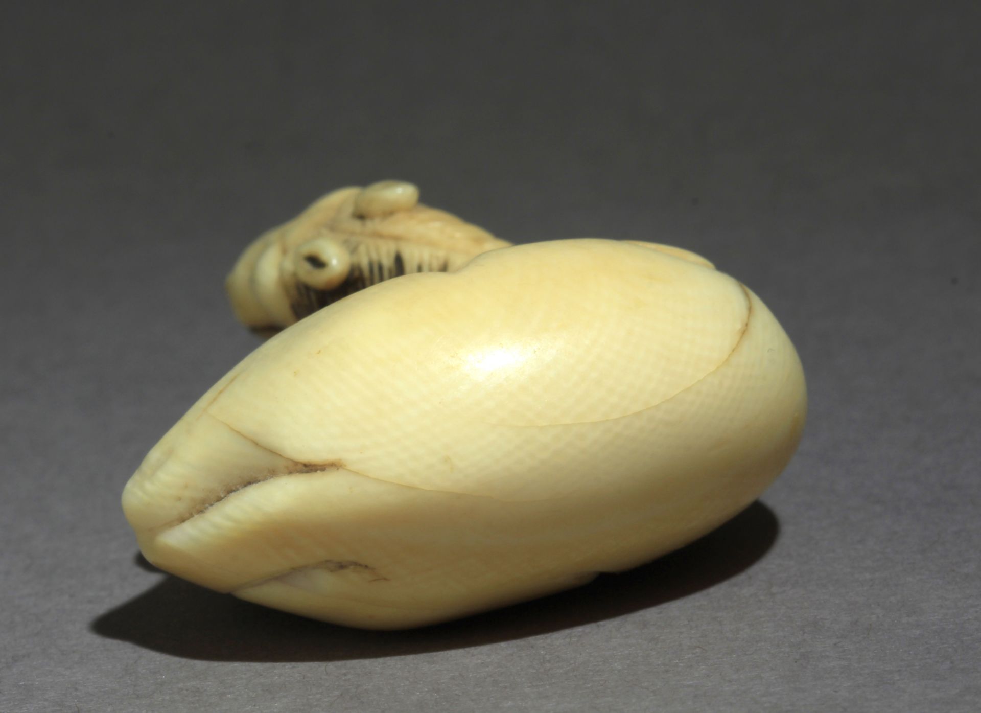 A late 18th century Japanese netsuke from Edo period - Image 3 of 8