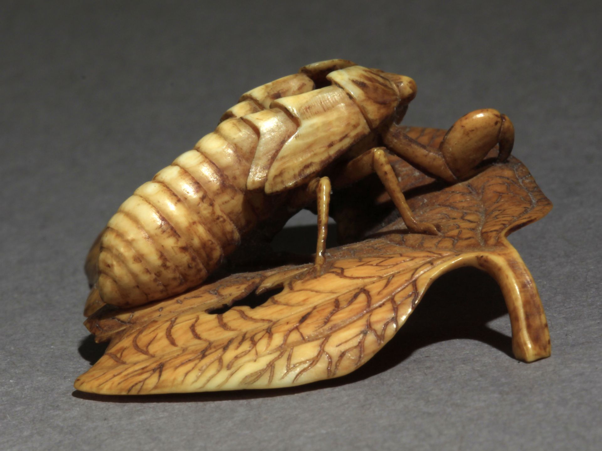 A 19th century Japanese netsuke from Meiji period - Image 5 of 9