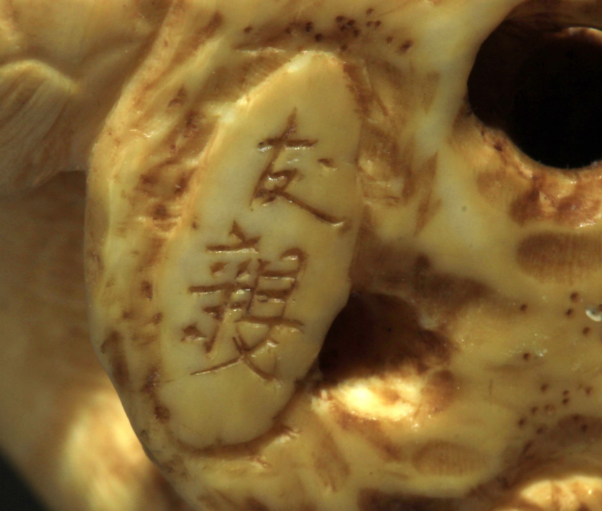 A mid 19th century Japanese netsuke from Meiji period - Image 8 of 8