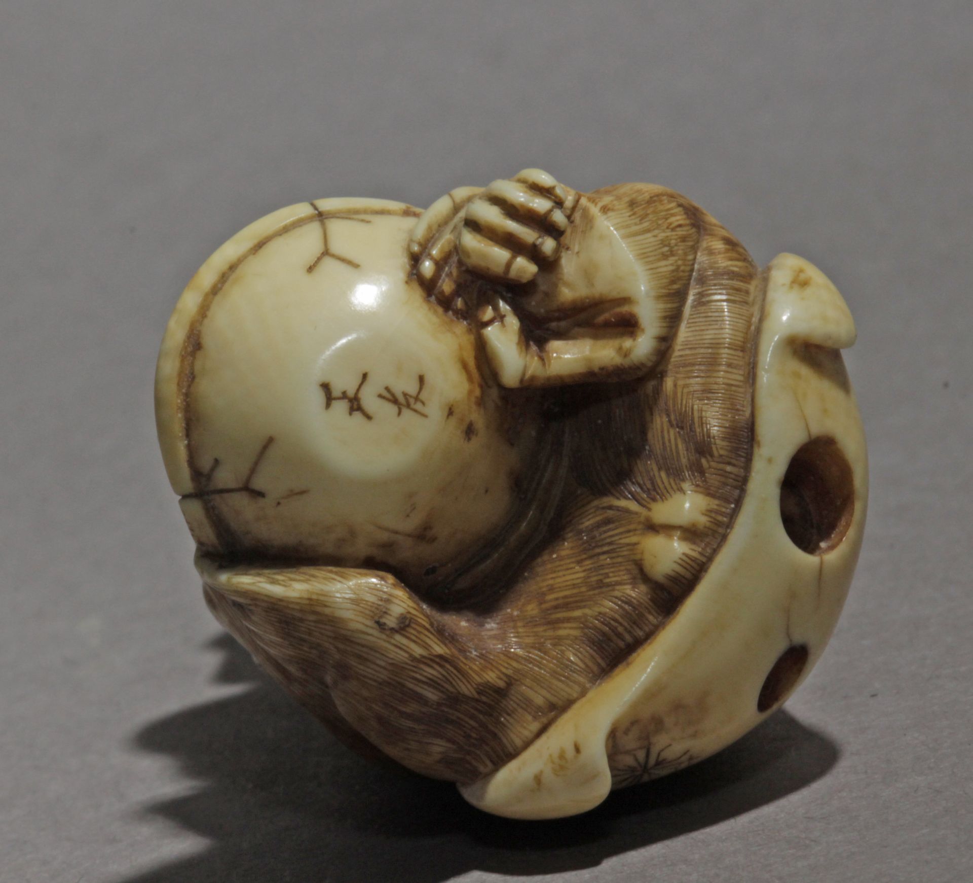 A Japanese netsuke from Edo period circa 1825-1850 - Bild 7 aus 8