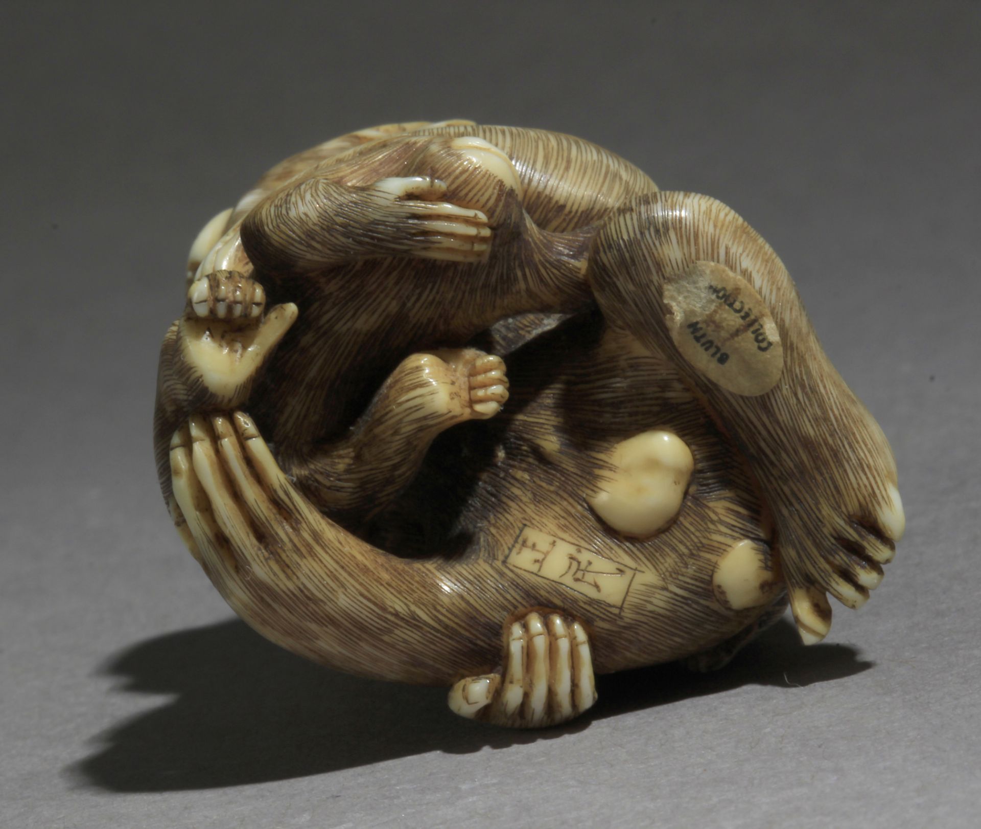 A 19th century Japanese netsuke from Meiji period - Image 6 of 7